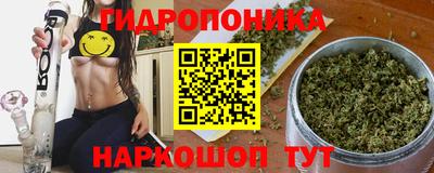прущие грибы Бийск