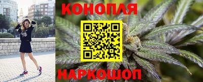 прущие грибы Бийск