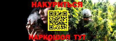 прущие грибы Бийск